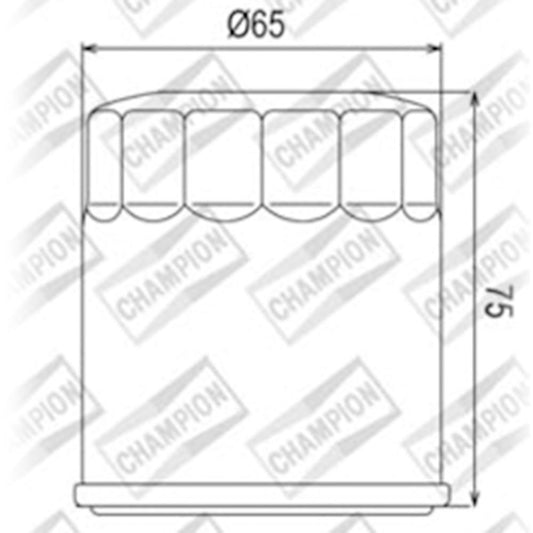 Champion Oil Filter Element - COF056